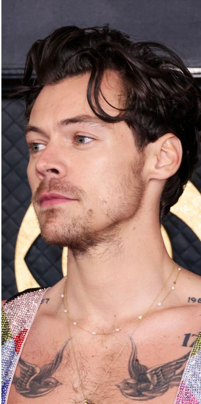 Hollywood's most fashionable men are wearing pearl necklaces | Fashion, Harry  styles, Harry styles pearls
